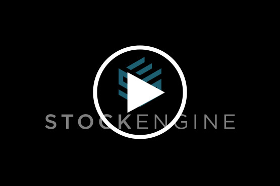 Quick Start: StockEngine Overview